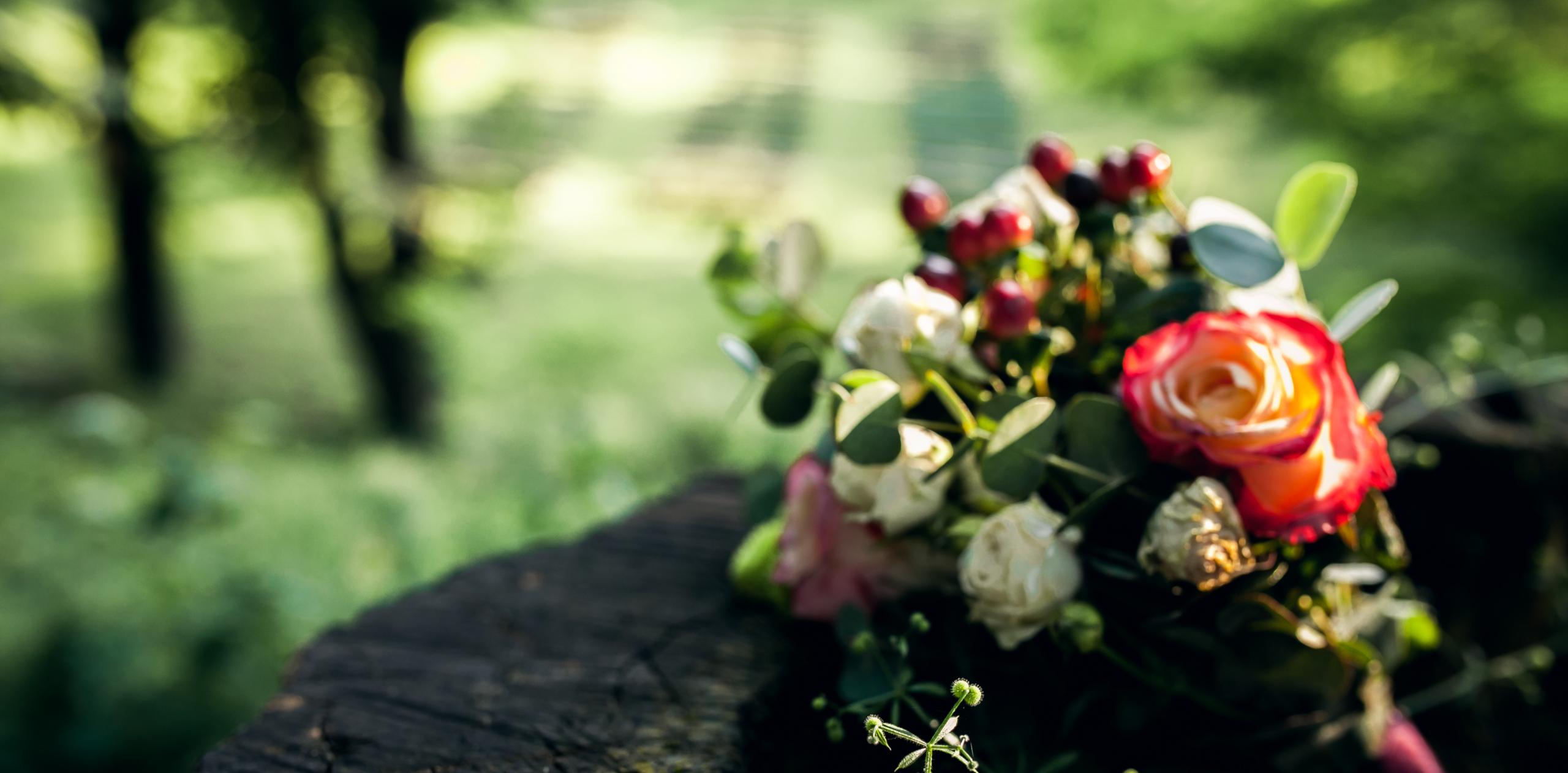 Fruit bouqeut in a summer forest